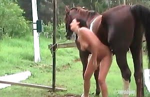 Horny as fuck horse and a hot zoophile 