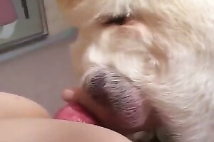 asian, dog-fucking-woman