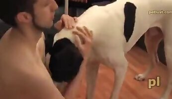 amateur- en zelfgemaakte porno,hardcore zoöfilie