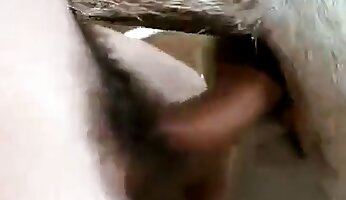zooporno anal,gran polla