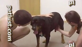 grobo jebanje,pasja pornografija