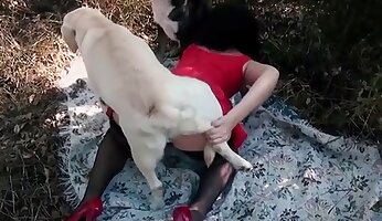 bestialidade do caralho,vídeo pornô de zoológico grátis