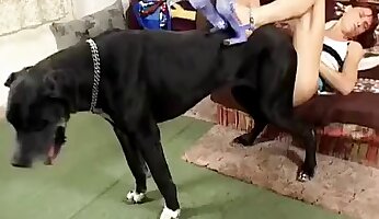 foda violenta,pornografia anal em zoológico