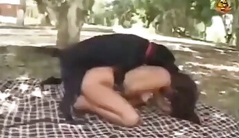免费动物园色情视频,动物恋色情片