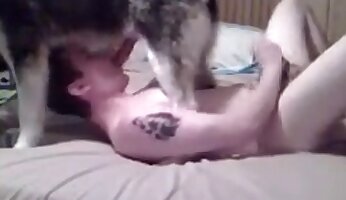 oral sex,anal zoo porn