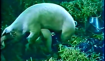 zverinstvo na kmetiji,brezplačen zoološki porno video