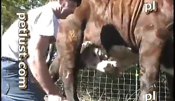 follando cachonda,porno salvaje
