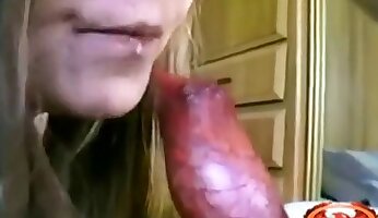 порно с домашними животными,групповое скотоложество