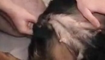 pasji seks video,brezplačen zoološki porno video