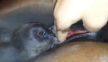 anális zoo-pornó,forró szex orgazmus