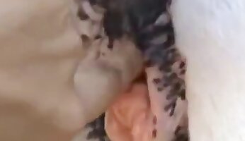 hot sex orgasm,free zoo porn video
