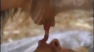 babes zoophiles,zoo sex videos
