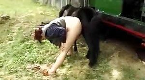 farm bestiality,porn with animals