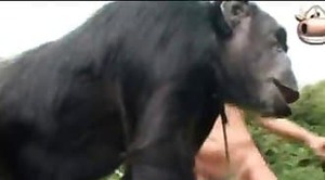 Monkey sex with brasilian girls